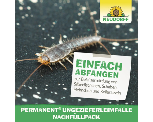 Neudorff Permanent Ungezieferleimfalle Nachfüllpack mit Silberfischchen