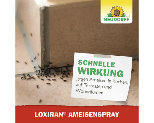 Loxiran Ameisenspray mit schneller Wirkung gegen Ameisen in Küchen, auf Terrassen und in Wohnräumen neben einer Ameisenstraße, Neudorff Logo