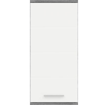 Wandschrank mit Tür und Griff