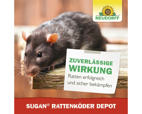 Eine Ratte neben einem Hinweis mit der Aufschrift Zuverlässige Wirkung und dem Neudorff Logo