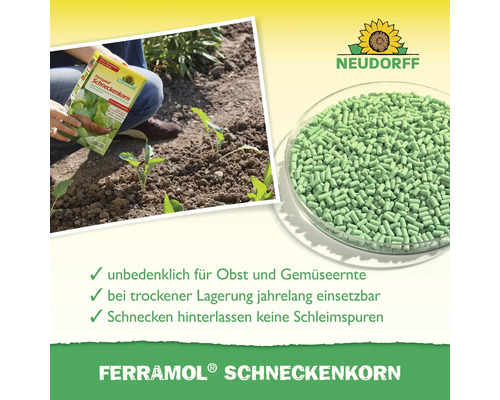 Neudorff Ferramol Schneckenkorn Packung und Schneckenkorn in einer Schale