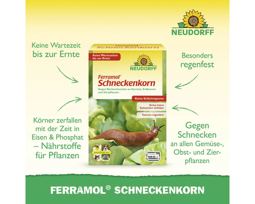 Verpackung Ferramol Schneckenkorn zur Schneckenbekämpfung im Garten