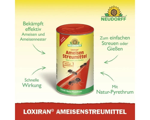 Loxiran Ameisenstreumittel zur Bekämpfung von Ameisen und Ameisennestern in einer Dose