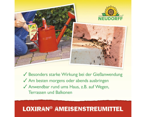 Loxiran Ameisenstreumittel mit Gießanwendung neben Gießkanne und befallener Stelle