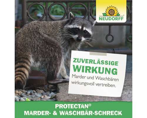 Waschbär neben einer Notiz mit dem Text Zuverlässige Wirkung und dem Neudorff Logo