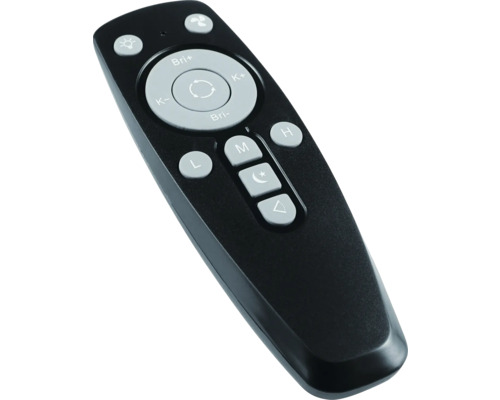 Schwarze Fernbedienung zur Steuerung von Deckenleuchte und Ventilator