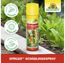 Schädlingsspray Neudorff Spruzit 400 ml
