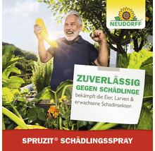 Schädlingsspray Neudorff Spruzit 400 ml