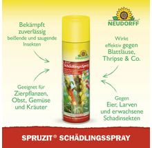 Schädlingsspray Neudorff Spruzit 400 ml
