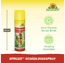 Schädlingsspray Neudorff Spruzit 400 ml