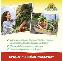 Schädlingsspray Neudorff Spruzit 400 ml