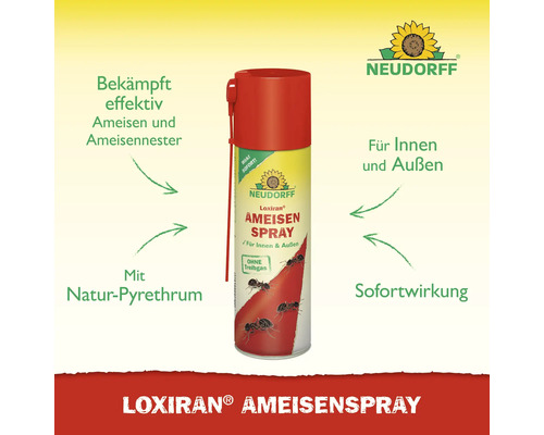 Neudorff Loxiran Ameisenspray zur Bekämpfung von Ameisen und Ameisennestern