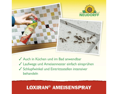 Anwendungsszene Neudorff Loxiran Ameisenspray gegen Ameisen