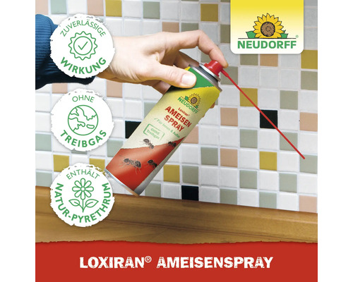 Neudorff Loxiran Ameisenspray zur Anwendung im Innen- und Aussenbereich mit zuverlässiger Wirkung, ohne Treibgas und mit Natur-Pyrethrum.