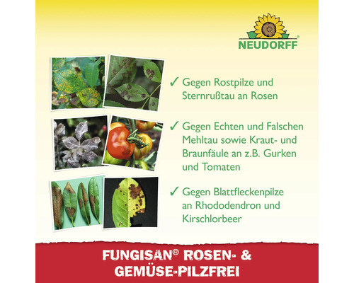 Fungisan Rosen und Gemüse pilzfrei zur Bekämpfung von Pilzkrankheiten mit Neudorff Logo