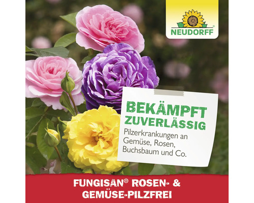 Fungisan Rosen und Gemüse Pilzfrei Produkt neben Rosen in verschiedenen Farben und Neudorff Logo