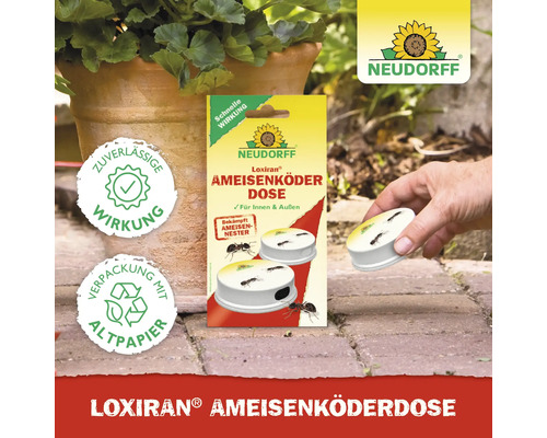 Neudorff Loxiran Ameisenköder Dose zur Bekämpfung von Ameisen