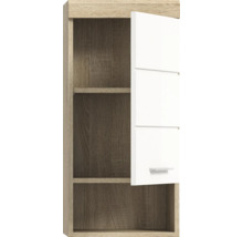 Hängeschrank mit einer Tür und Regalböden