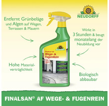 Finalsan AF Wege- und Fugenreiniger mit Sprühkopf zur Entfernung von Grünbelägen und Algen