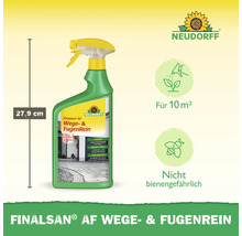 Finalsan AF Wege- und Fugenreiniger Flasche mit 27,9 cm Höhe
