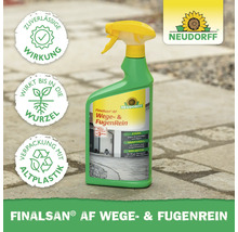 Finalsan AF Wege- und Fugenreiniger in Sprühflasche von Neudorff
