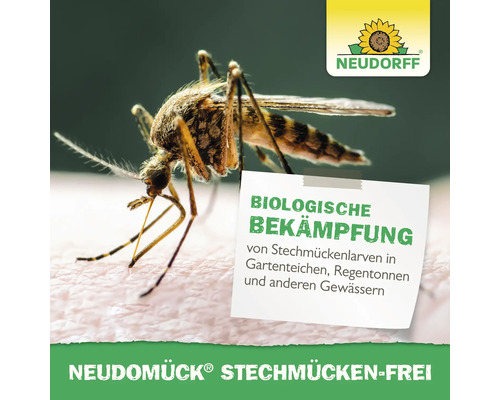 Darstellung einer Stechmücke und Hinweis auf die biologische Bekämpfung von Stechmückenlarven mit Neudomück von Neudorff