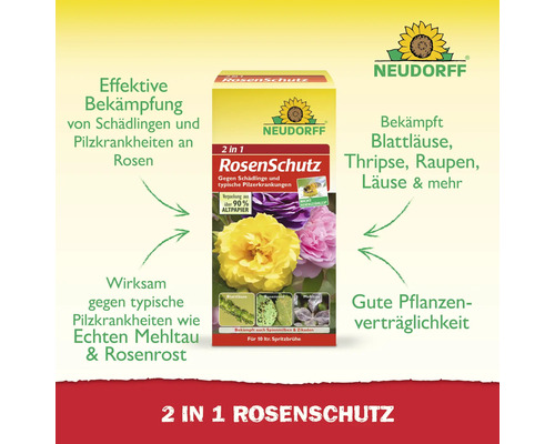 Neudorff 2 in 1 Rosenschutz zur Bekämpfung von Schädlingen und Pilzkrankheiten an Rosen