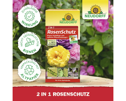 Neudorff Rosen Schutz 2 in 1 zur Schädlingsbekämpfung und gegen Pilzerkrankungen