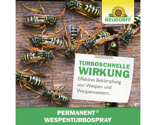 Mehrere Wespen auf Holz neben einem Hinweis auf die schnelle Wirkung des Wespensprays.