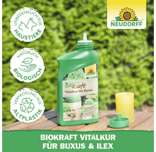 Neudorff Biokraft Vitalkur für Buxus und Ilex in grüner Flasche mit Dosierhilfe. Unbedenklich für Haustiere. Verpackung aus Altplastik. Natürlich Biologisch. Neudorff Logo.