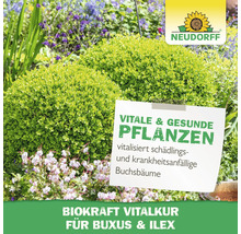 Neudorff Logo mit vitalen und gesunden Pflanzen für Buchs und Ilex