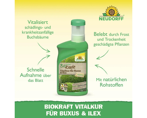 Neudorff Biokraft Vitalkur für Buxus und Ilex zur Vitalisierung von Buchsbäumen