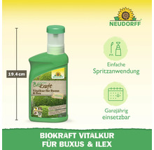 Neudorff Biokraft Vitalkur für Buchs und Ilex, 19,4 cm Höhe, zur einfachen Spritzanwendung, ganzjährig einsetzbar, Neudorff Logo
