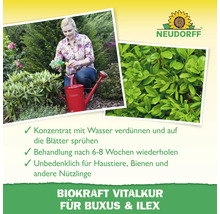 Frau gießt Pflanzen mit einer roten Gießkanne. Neudorff Logo.