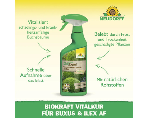 Neudorff BioKraft Vitalkur für Buchs und Ilex im Sprühbehälter