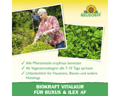 Anwendung der Biokraft Vitalkur für Buchs und Ilex durch eine Frau im Garten. Neudorff Logo.