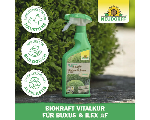 Neudorff Biokraft Vitalkur für Buchs und Ilex AF in grüner Sprühflasche vor Hecke. Haustierfreundlich, biologisch und Verpackung aus Altplastik.
