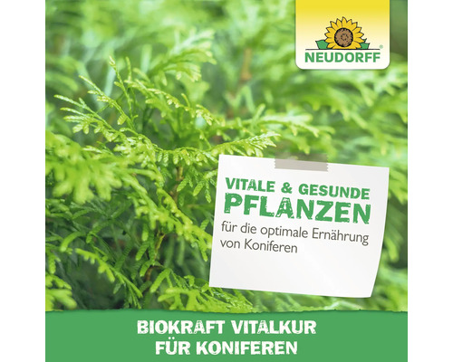 Neudorff Logo. Koniferen Vital Kur Produktbild.