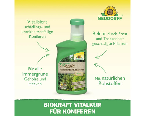 Neudorff Biokraft Vitalkur für Koniferen zur Stärkung von Nadelgehölzen