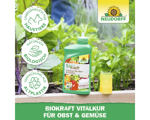 Neudorff Biokraft Vitalkur für Obst und Gemüse in grüner Flasche mit Dosierhilfe, umgeben von Gemüsepflanzen. Siegel: Unbedenklich für Haustiere. Siegel: Natürlich biologisch. Siegel: Verpackung aus Altplastik. Neudorff Logo.
