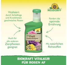Neudorff Biokraft Vitalkur für Rosen zur Stärkung von Rosen