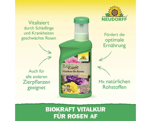 Neudorff Biokraft Vitalkur für Rosen zur Stärkung von Rosen