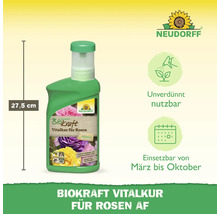 Neudorff Biokraft Vitalkur für Rosen mit einer Höhe von 27,5 cm