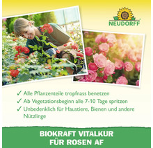 Neudorff Logo. Frau pflegt Rosen. Rosenblüten nahaufnahme. Alle Pflanzenteile tropfnass benetzen. Ab Vegetationsbeginn alle 7 bis 10 Tage spritzen. Unbedenklich für Haustiere, Bienen und andere Nützlinge. Biokraft Vitalkur für Rosen AF.