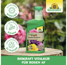Neudorff Biokraft Vitalkur für Rosen, Rosen-Dünger in grüner Flasche