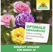 Rosen mit optimaler Ernährung für vitalisierte, schädlings- und krankheitsanfällige Pflanzen, Neudorff Logo