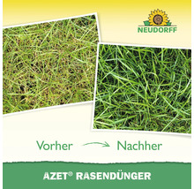 Vorher Nachher Vergleich von Rasen mit Azet Rasendünger und Neudorff Logo.