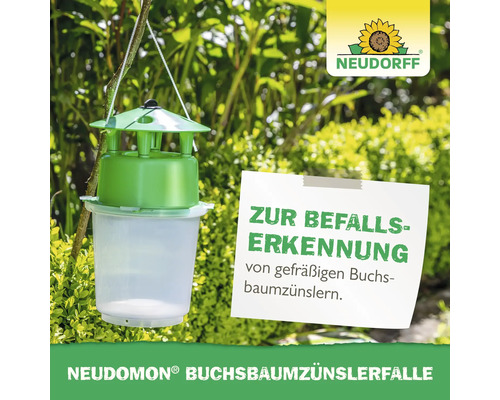 Neudomon Buchsbaumzünslerfalle zur Befallserkennung im Garten