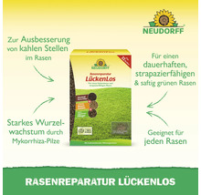 Neudorff LückenLos Rasenreparatur zur Ausbesserung von kahlen Stellen im Rasen für 32 Stellen