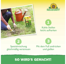 Anleitung zur Rasenreparatur mit Neudorff LückenLos: Vorbereitung des Bodens, Ausbringen der Spezialmischung, Andrücken und Bewässern.
